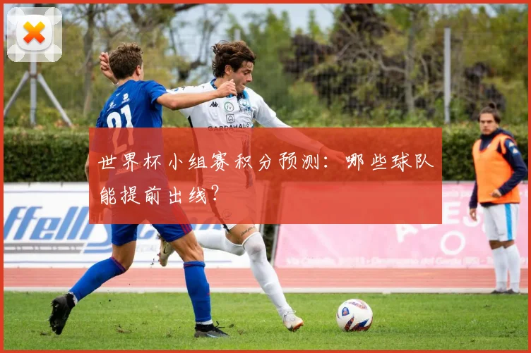 世界杯小组赛积分预测:哪些球队能提前出线?