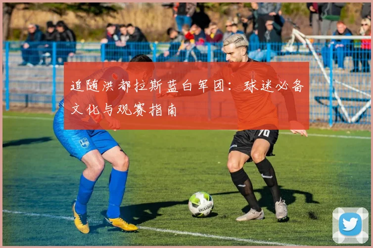 追随洪都拉斯蓝白军团：球迷必备文化与观赛指南